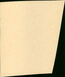 White Fang - Vintage Photograph