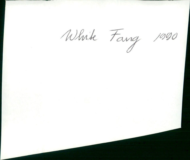 White Fang - Vintage Photograph
