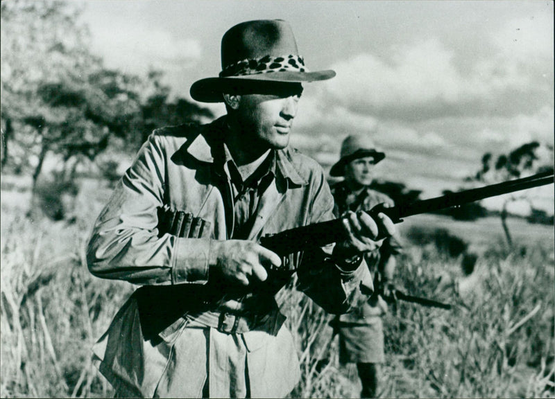 The Snows of Kilimanjaro - Vintage Photograph