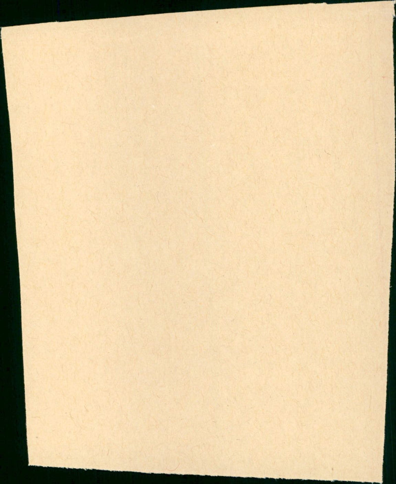 Wild at Heart - Vintage Photograph