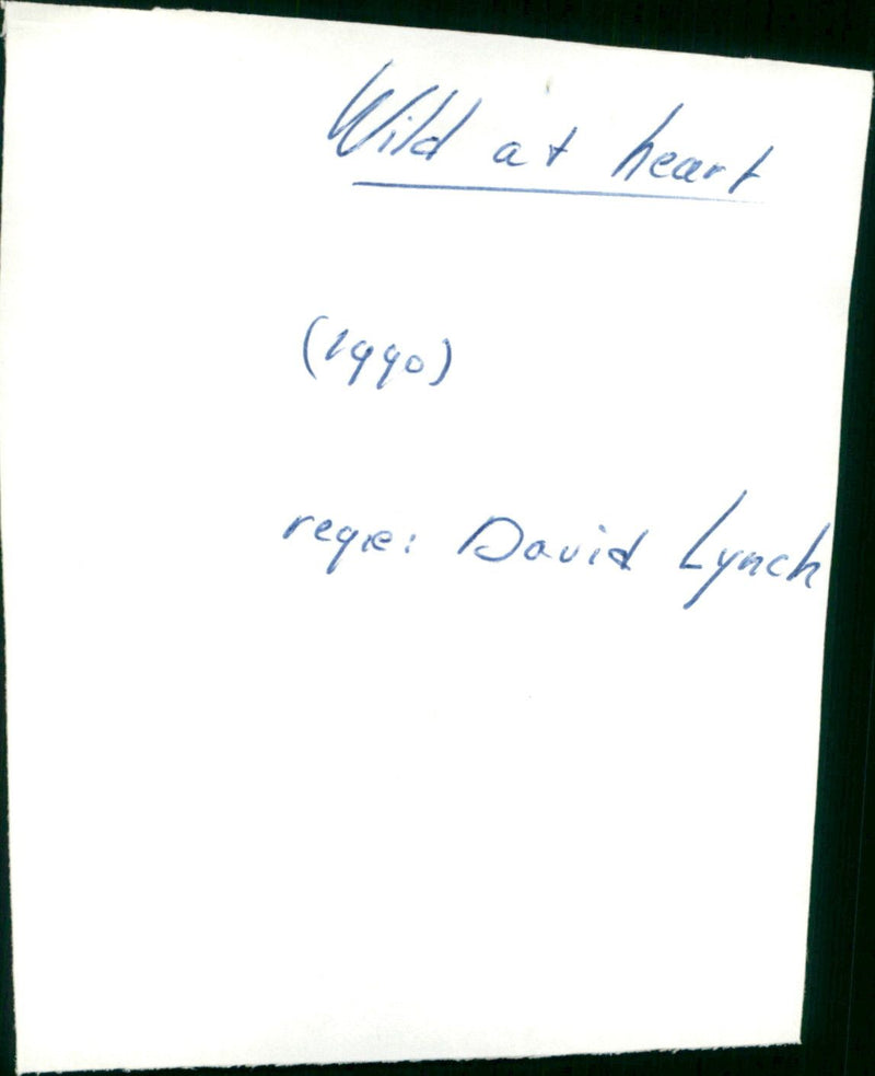 Wild at Heart - Vintage Photograph