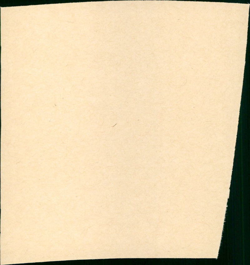 Wicked Woman - Vintage Photograph