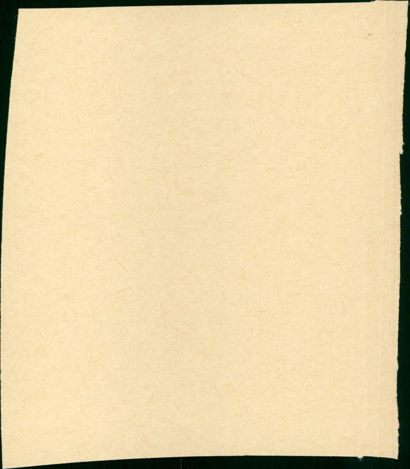 The Snows of Kilimanjaro - Vintage Photograph