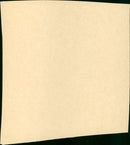 White Lightning - Vintage Photograph