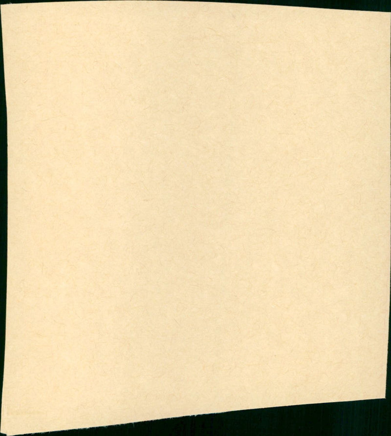 White Lightning - Vintage Photograph