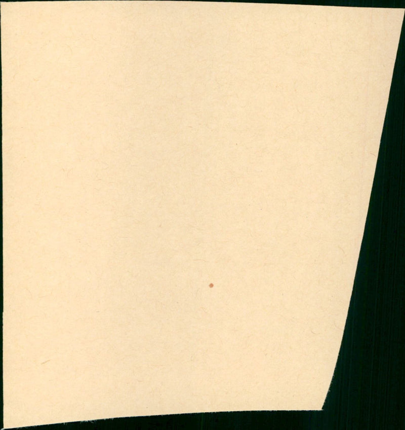 Whistling in Dixie - Vintage Photograph