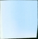 Yajū no seishun - Vintage Photograph