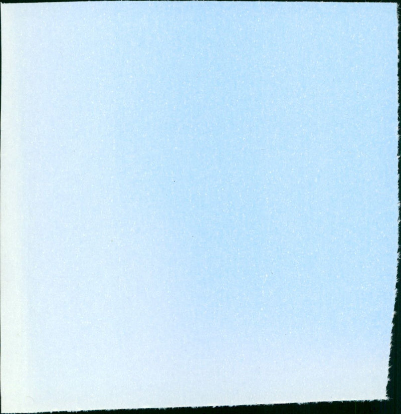 Yajū no seishun - Vintage Photograph