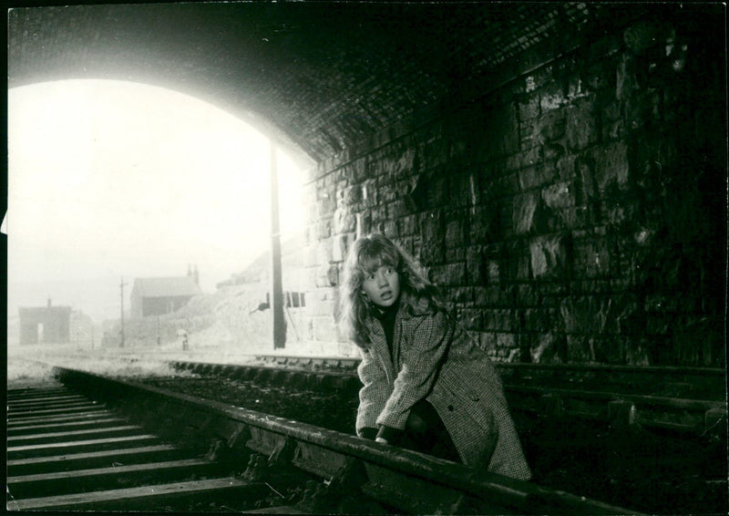 Whistle Down the Wind - Vintage Photograph
