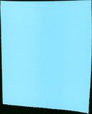 Z - Vintage Photograph