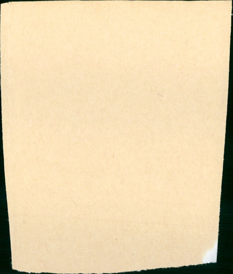 Designing woman - Vintage Photograph