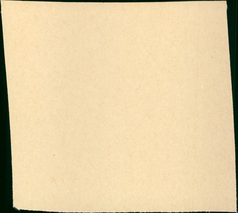 December Flower - Vintage Photograph