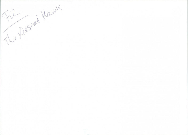 Yvonne de Carlo and Richard Greene - Vintage Photograph