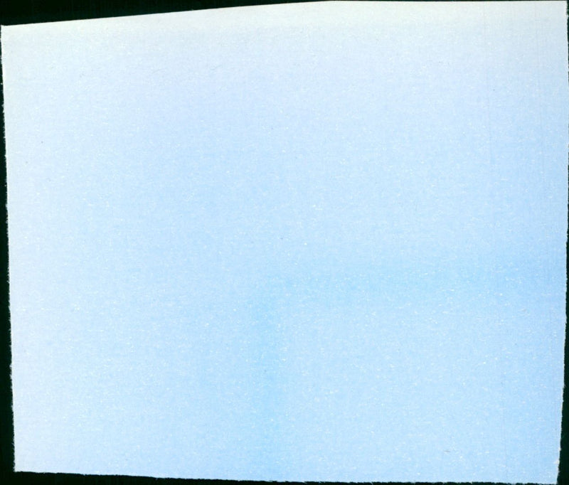 Deception - Vintage Photograph