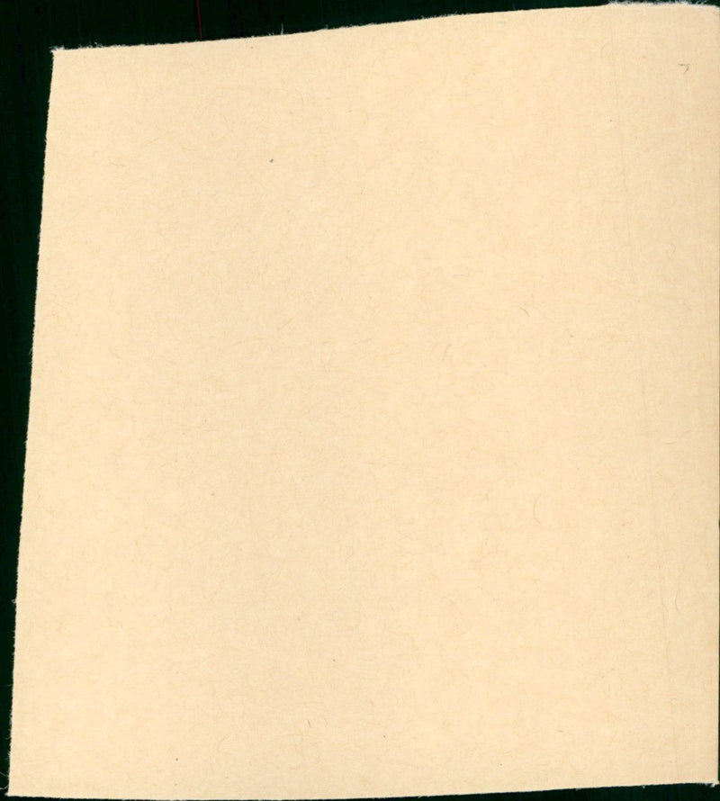 Delicatessen - Vintage Photograph