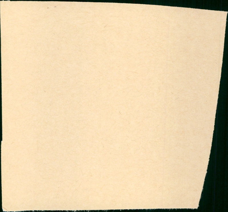 Wife vs. Secretary - Vintage Photograph