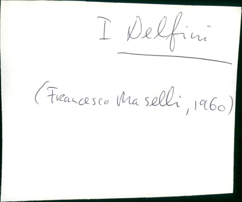 I delfini - Vintage Photograph