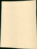 The Wild and the Innocent - Vintage Photograph