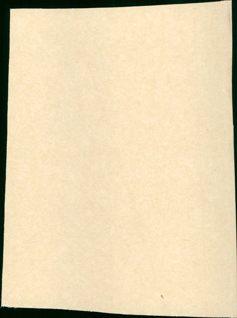 The Wild and the Innocent - Vintage Photograph