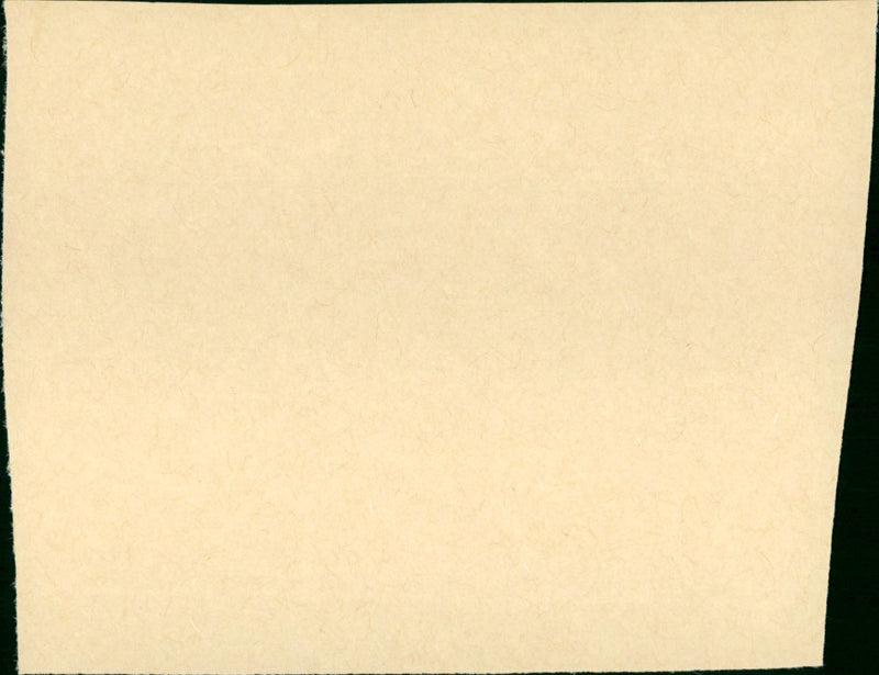 Des pissenlits par la racine - Vintage Photograph