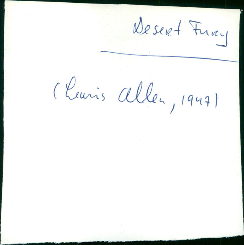 Desert Fury - Vintage Photograph