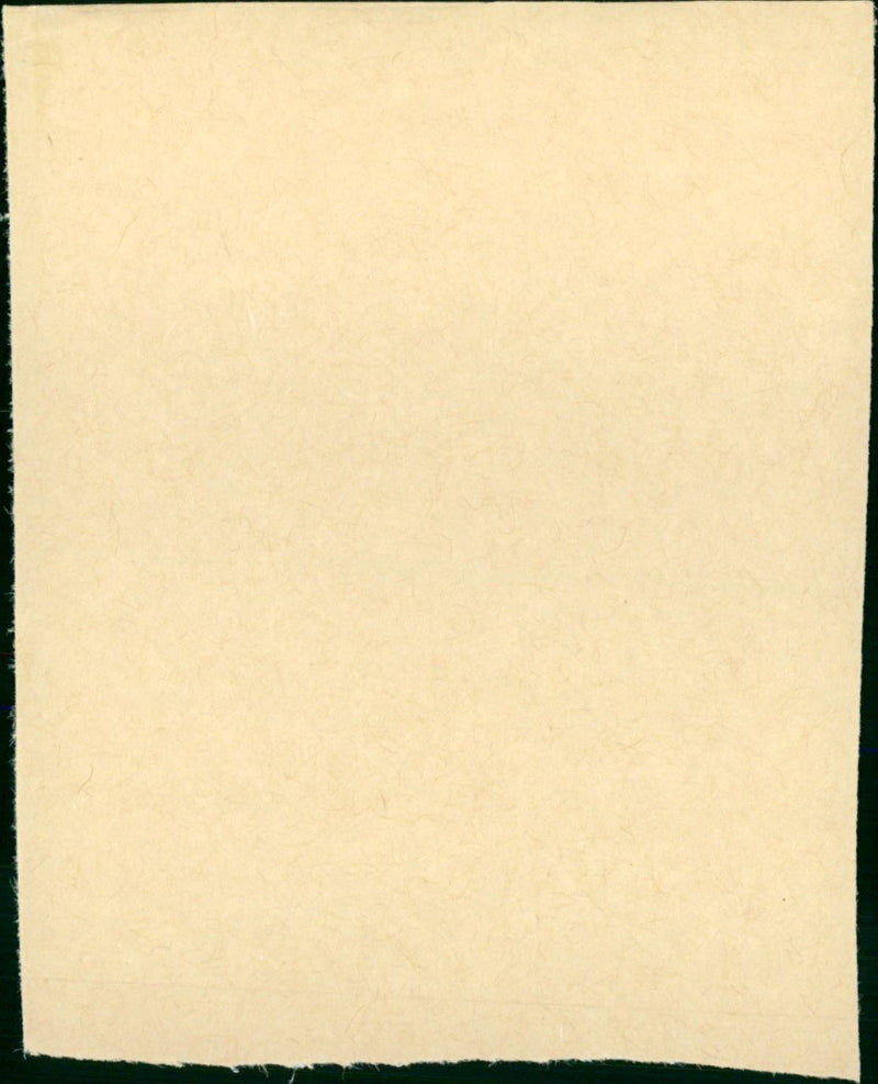 Désirée - Vintage Photograph