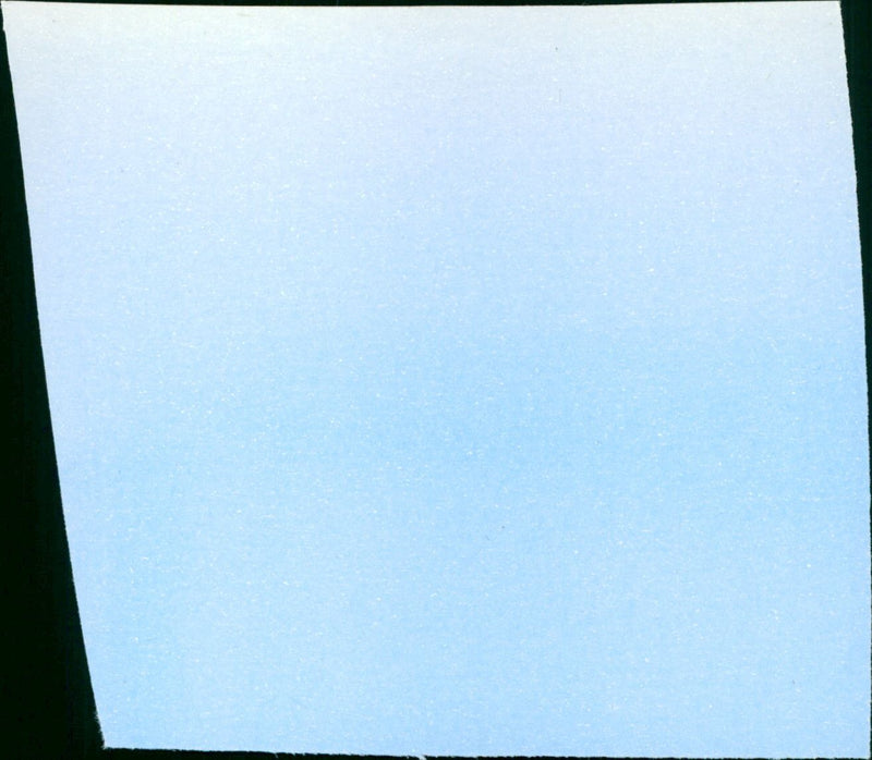 The Defiant Ones - Vintage Photograph