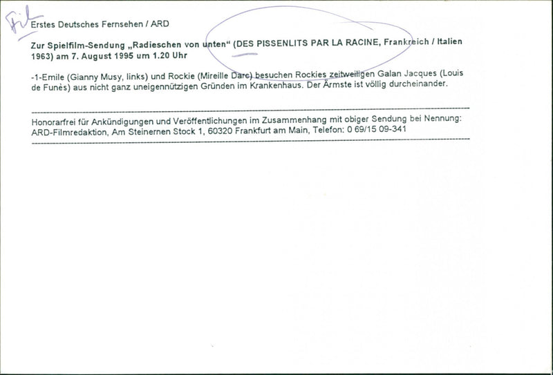 Des pissenlits par la racine 1963 - Vintage Photograph