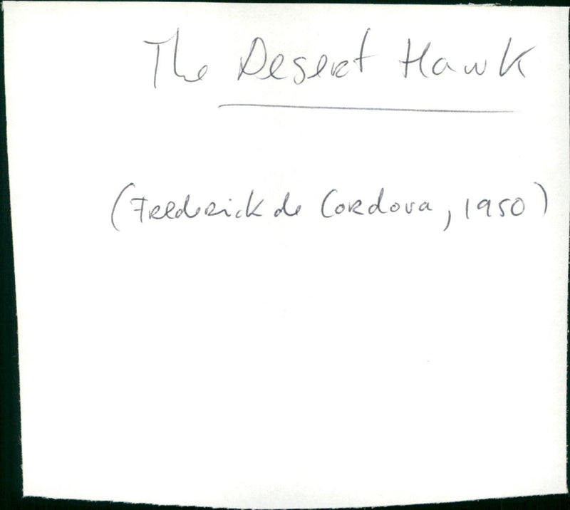 The Desert Hawk - Vintage Photograph