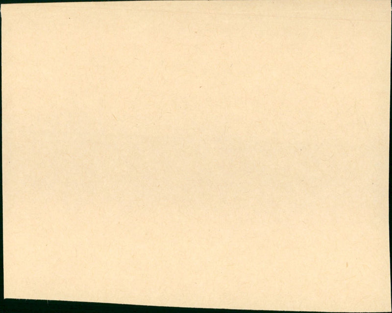 The Bad ad The Beautiful 1952 - Vintage Photograph