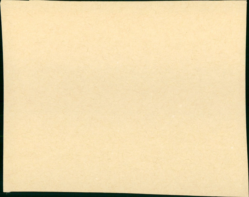 Badge of the Assassin 1985 - Vintage Photograph