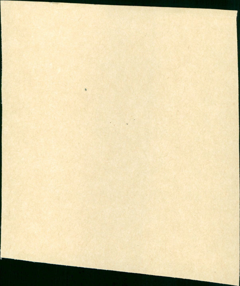 Amadeus - Vintage Photograph