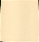 Destry Rides Again - Vintage Photograph