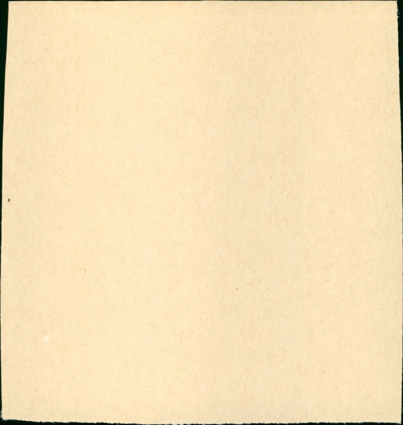 Destry Rides Again - Vintage Photograph