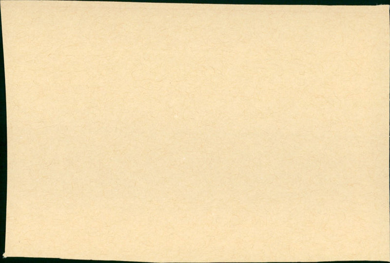 The Bad News Bears in Breaking Training 1977 - Vintage Photograph