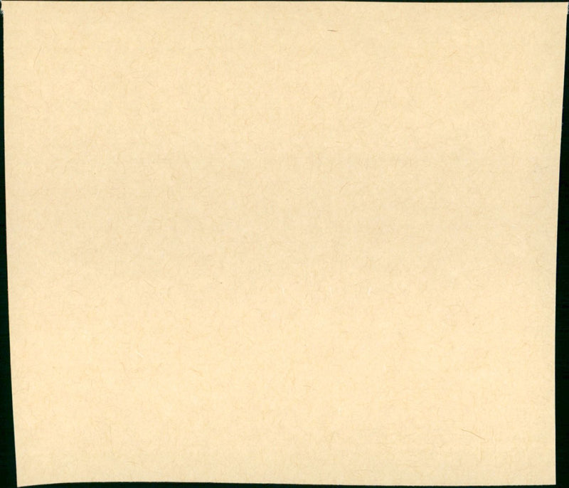 Bad Boy Bubby 1994 - Vintage Photograph