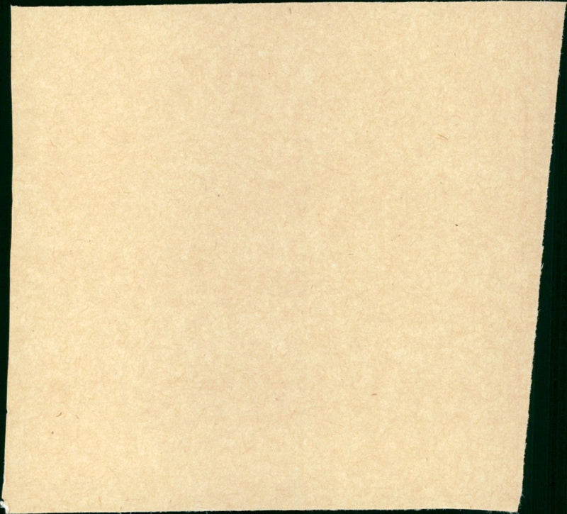 Wise Guys - Vintage Photograph