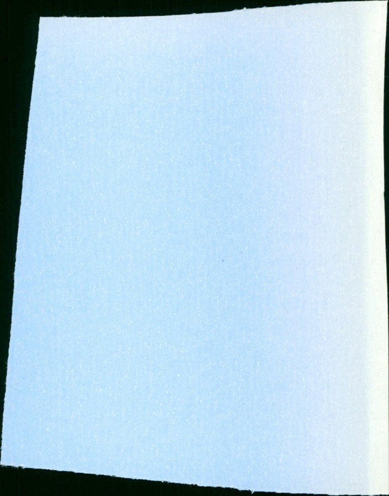 Detective Sadie and Son - Vintage Photograph