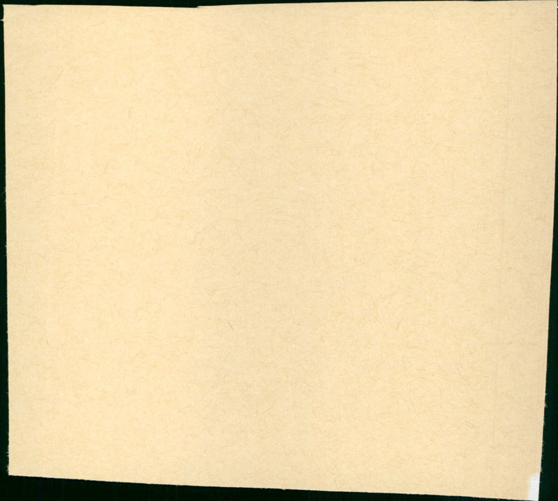 Adolf und Marlene 1977 - Vintage Photograph