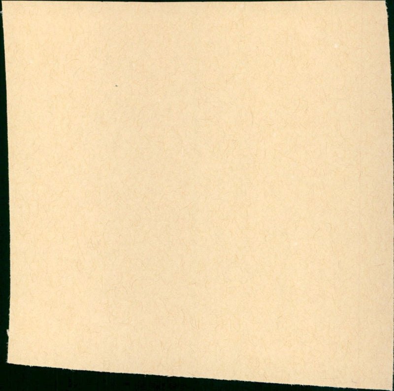 Detective - Vintage Photograph