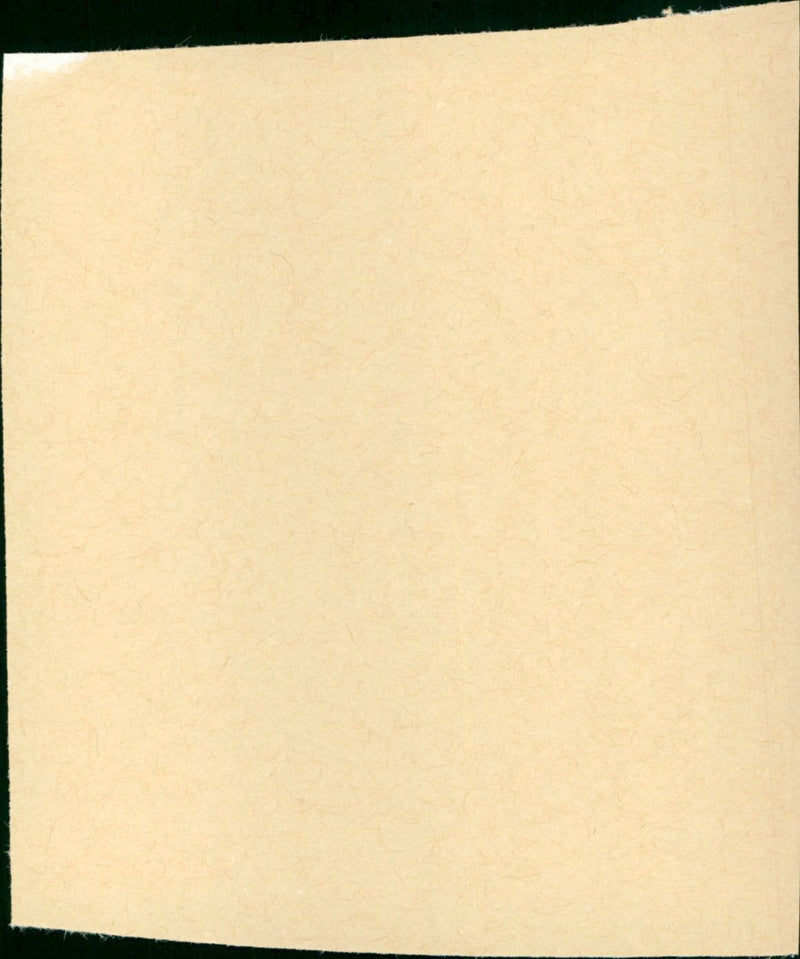 with the lights on - Vintage Photograph