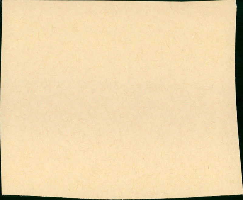 Some Came Running - Vintage Photograph