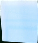 Without a Clue - Vintage Photograph