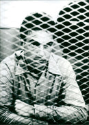 The Deliberate Stranger - Vintage Photograph