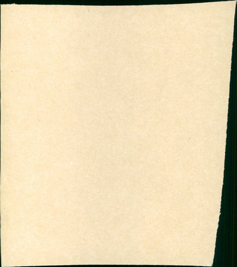 Die Deutschmeister - Vintage Photograph