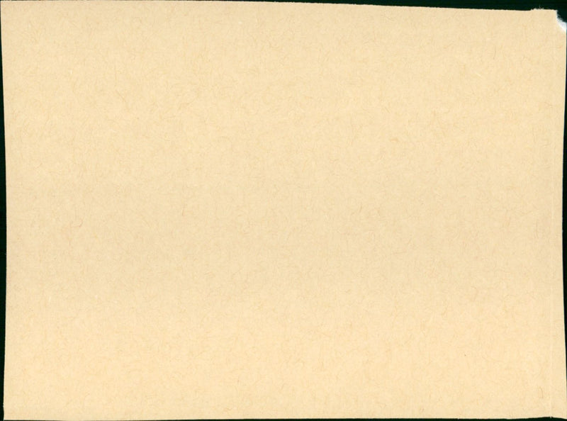 Und ewig singen die Walder - Vintage Photograph