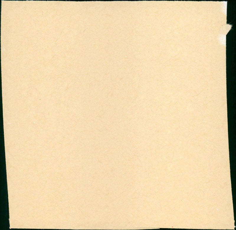 The Deep - Vintage Photograph