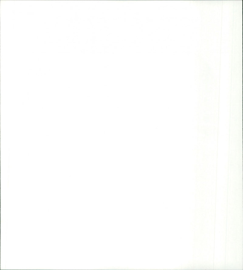 Woestijnroos - Vintage Photograph