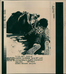 Woestijnroos - Vintage Photograph