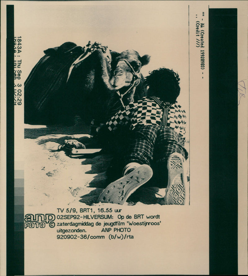 Woestijnroos - Vintage Photograph